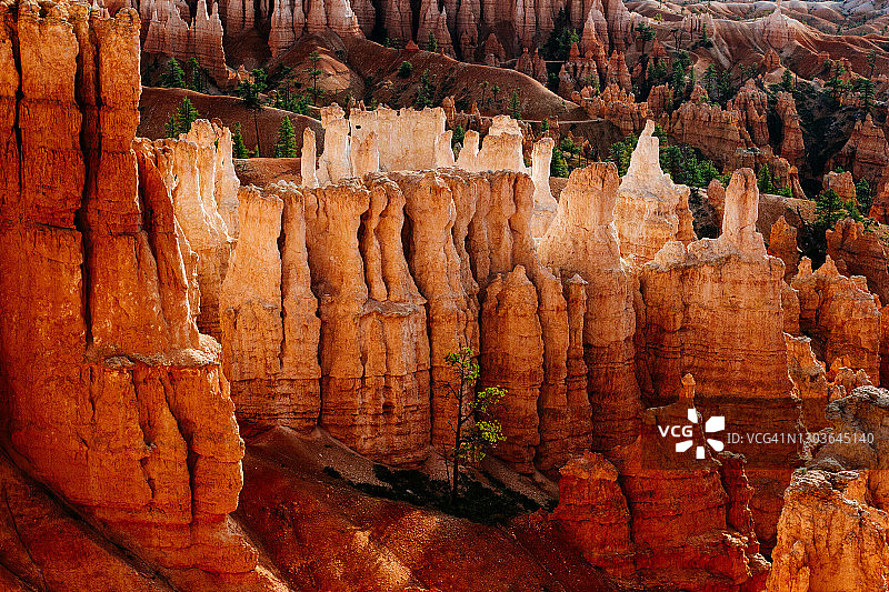 日出时分，犹他州布莱斯峡谷的岩石柱细节图片素材