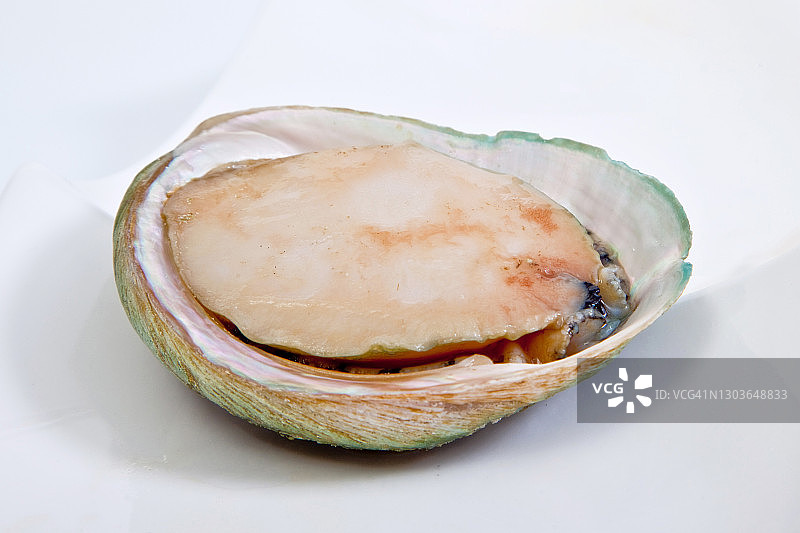 绿唇鲍鱼，南澳大利亚图片素材