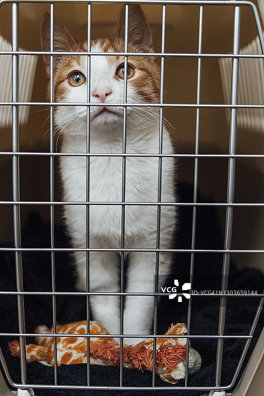 我现在可以出来了吗？图片素材