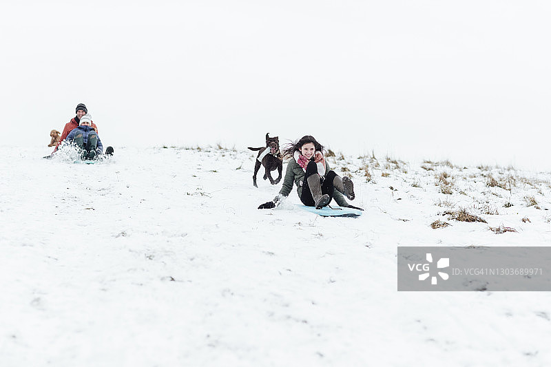 少女和拉布拉多犬在雪地里玩雪橇图片素材