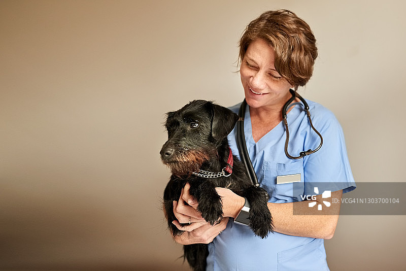 抱着小狗的女兽医图片素材