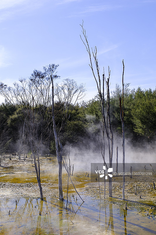 新西兰北岛罗托鲁瓦地热区图片素材