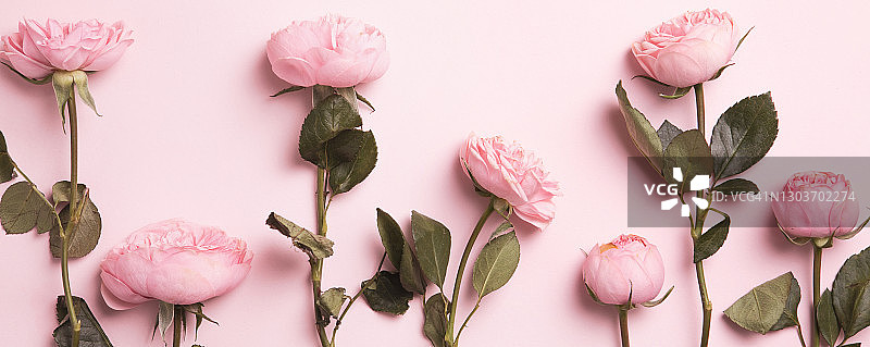 粉色背景上的美丽春天花朵，花框构图图片素材