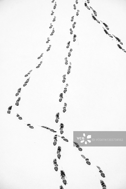 里多运河滑冰道上的足迹图片素材