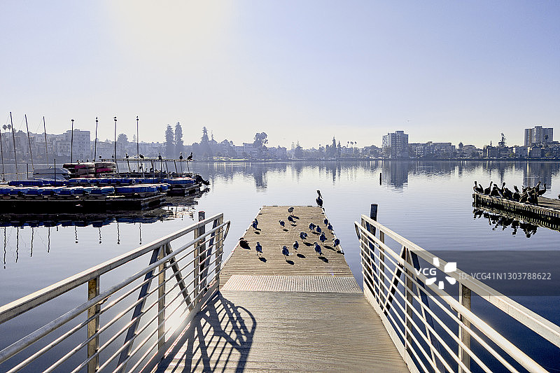 梅里特湖的码头和鹈鹕图片素材