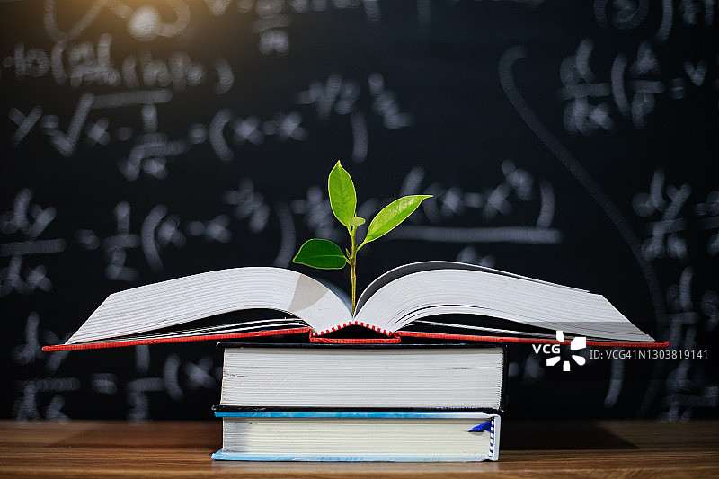 教育理念，书籍与树木图片素材