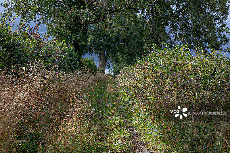 英国南约克郡植被繁茂的马道图片素材