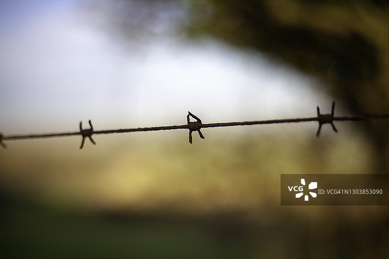 带刺铁丝网特写图片素材