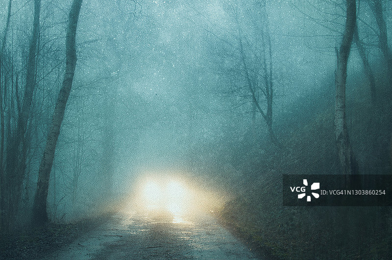 英国森林中雾夜小路上的汽车前灯图片素材