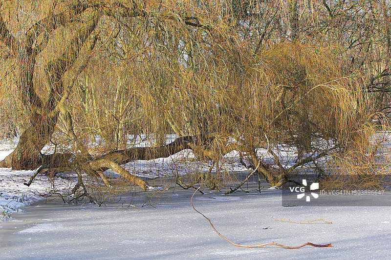 荷兰阿姆斯特丹的阳光冬季图片素材