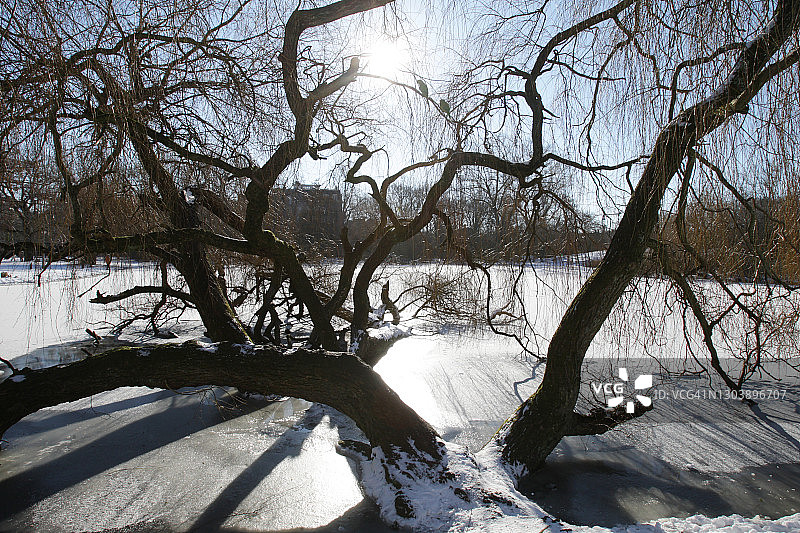 荷兰阿姆斯特丹的阳光冬季图片素材