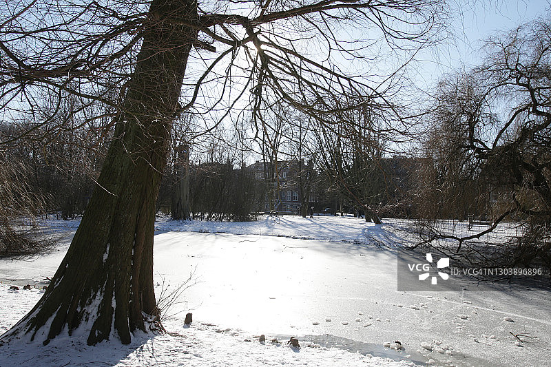 荷兰阿姆斯特丹的阳光冬季图片素材