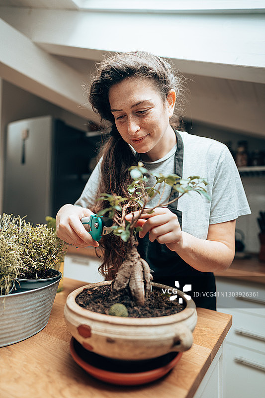 养护植物图片素材