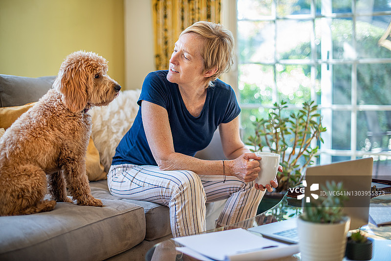 坐在沙发上的迷你金色贵宾犬及其主人图片素材