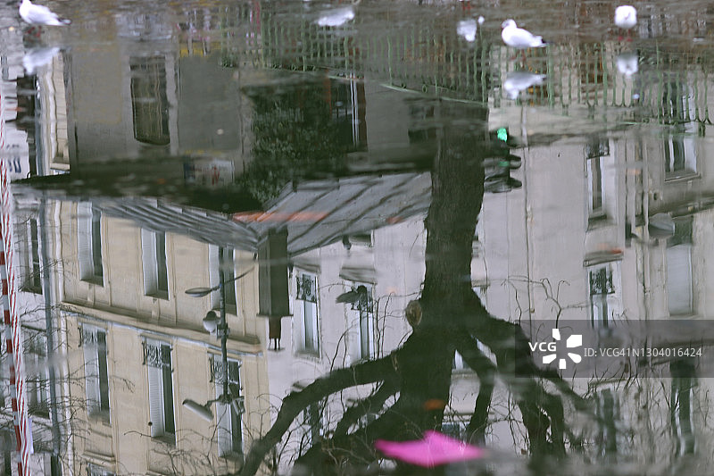 巴黎圣马丁运河上部分冰冻的海鸥图片素材