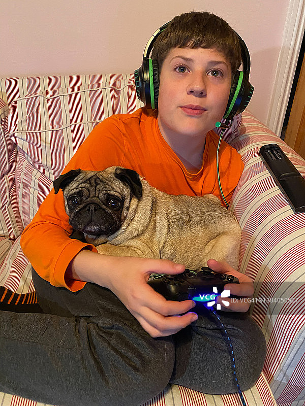 男孩玩游戏，膝盖上趴着哈巴狗图片素材