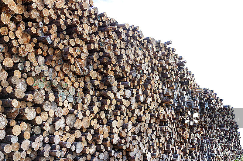 堆叠的原木木材图片素材