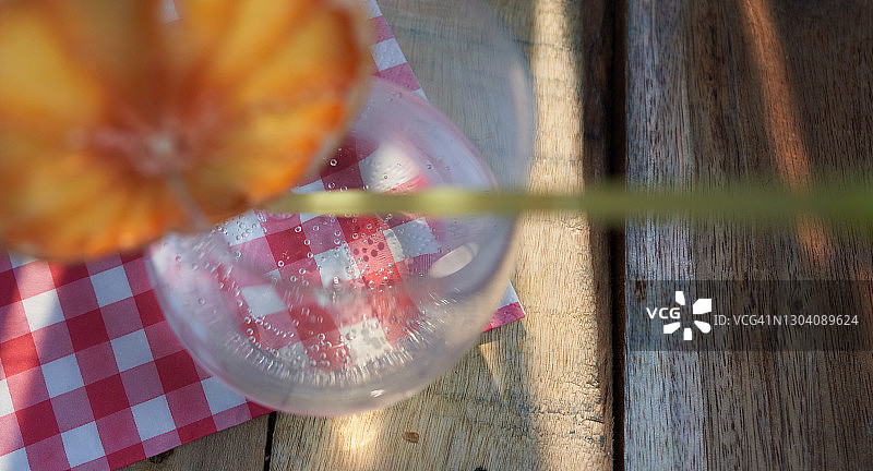 金汤力配橙子片图片素材