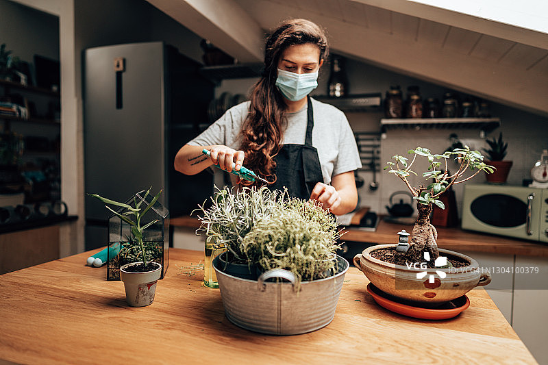 养护植物图片素材