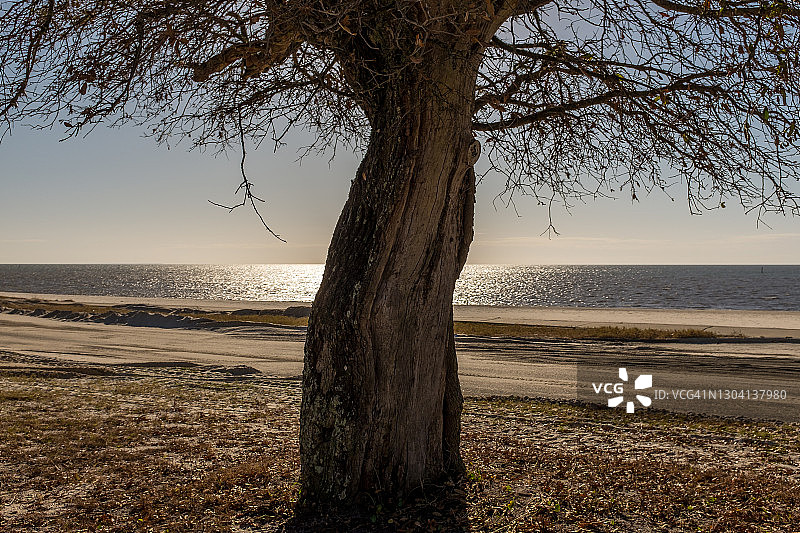 密西西比海岸图片素材
