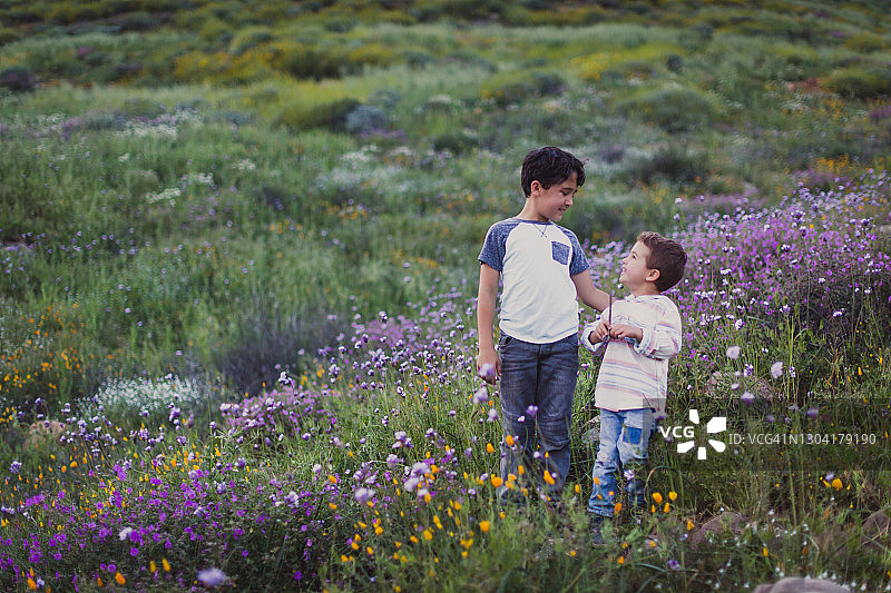 两个兄弟在野花田中交谈图片素材