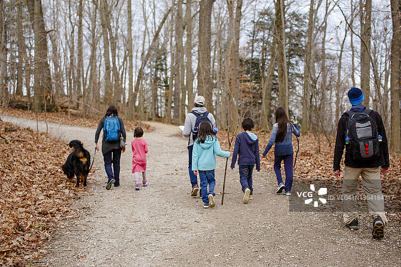 一家人在树林中徒步旅行，带着狗走在碎石路上图片素材