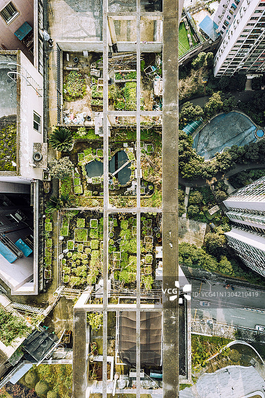 屋顶蔬菜园图片素材