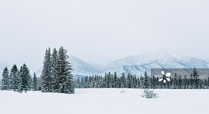 白色冬季霜冻景观与白雪皑皑的冰树，美丽的冰冻河流图片素材