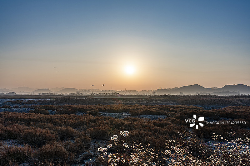 韩国始兴弥生大桥日出景色图片素材
