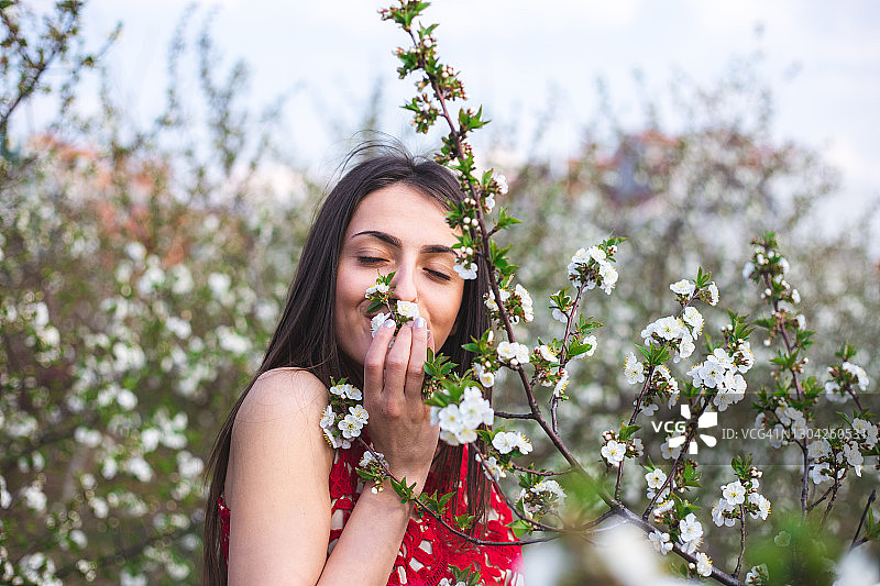 繁花树丛中图片素材