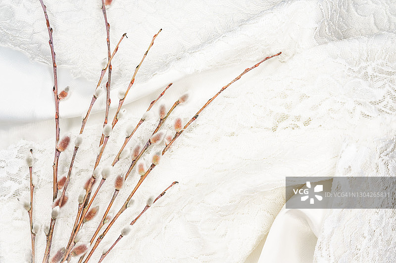 早春自然背景图片素材