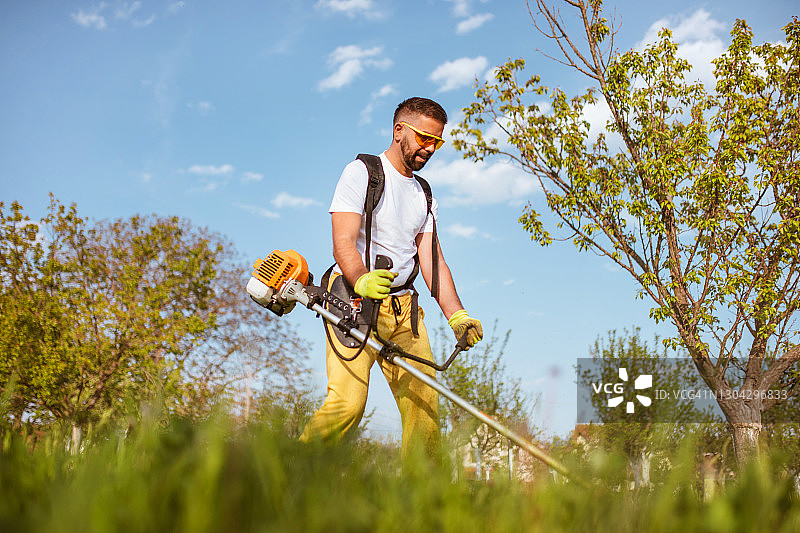 男子用汽油修剪机修剪浓密的草图片素材