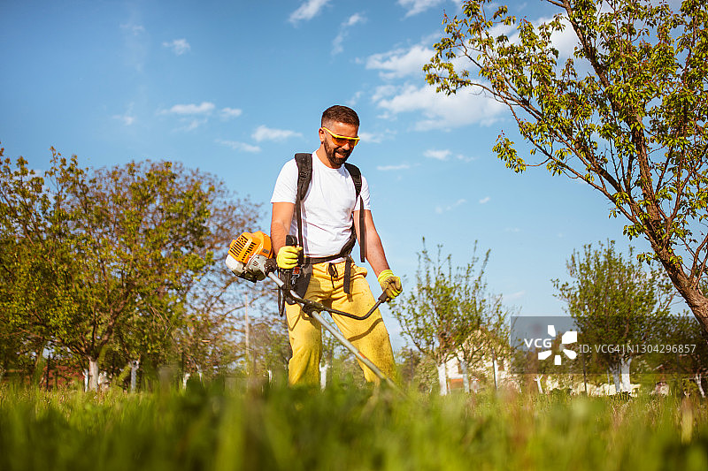 男子用汽油修剪机修剪浓密的草图片素材