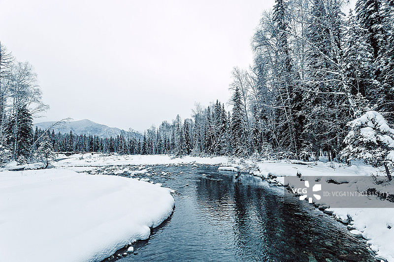 西伯利亚阿尔泰冬季雪松林间的河流图片素材