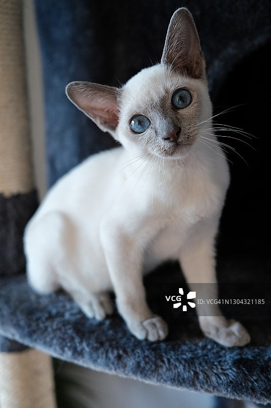 游戏时间图片素材