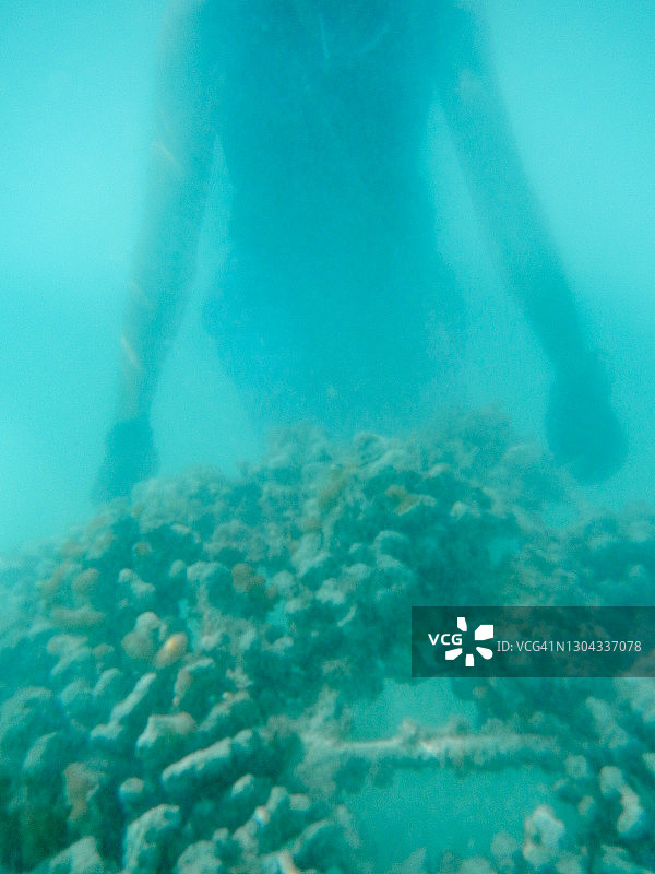 在马尔代夫珊瑚苗圃工作的海洋生物学家图片素材
