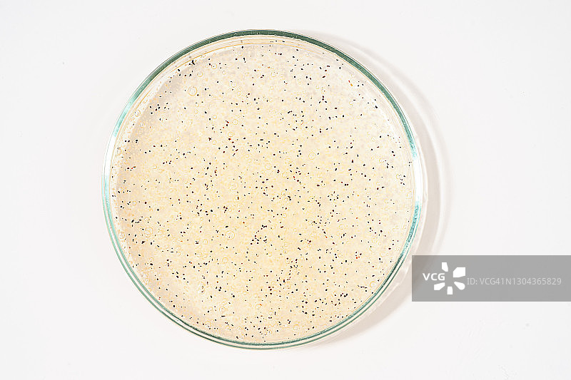 有机生物化妆品实验室和美容产品图片素材