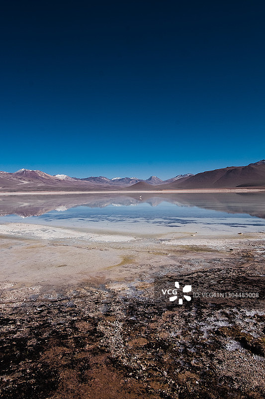 利坎卡布尔火山附近Laguna Blanca 湖与火烈鸟的风景照片图片素材