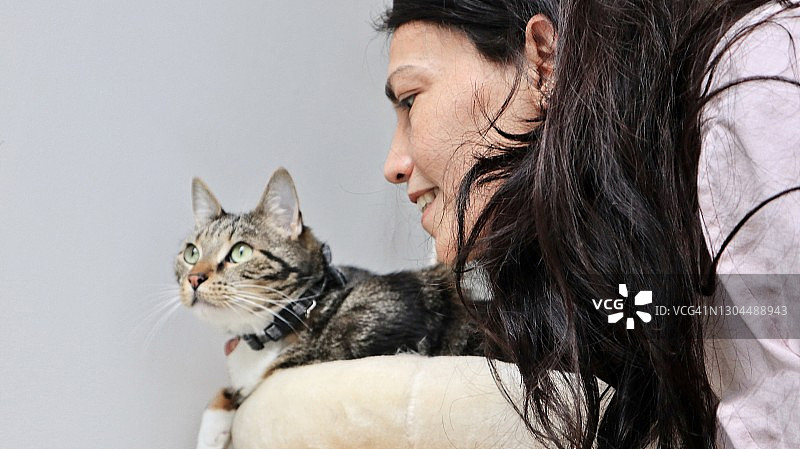 与女人一起放松的可爱老虎猫图片素材