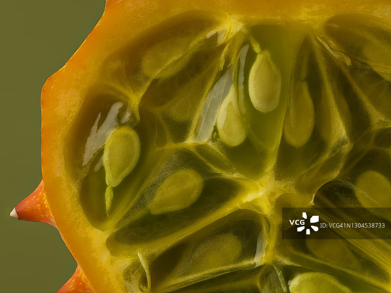 角甜瓜特写图片素材