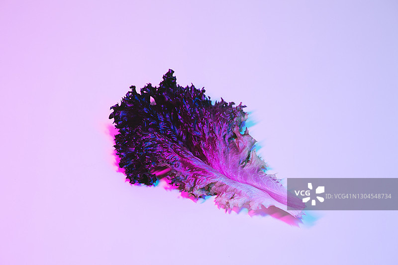 霓虹灯背景上的新鲜有机生菜图片素材