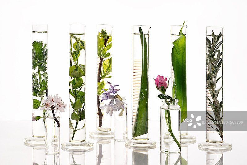 天然草本化妆品实验室图片素材