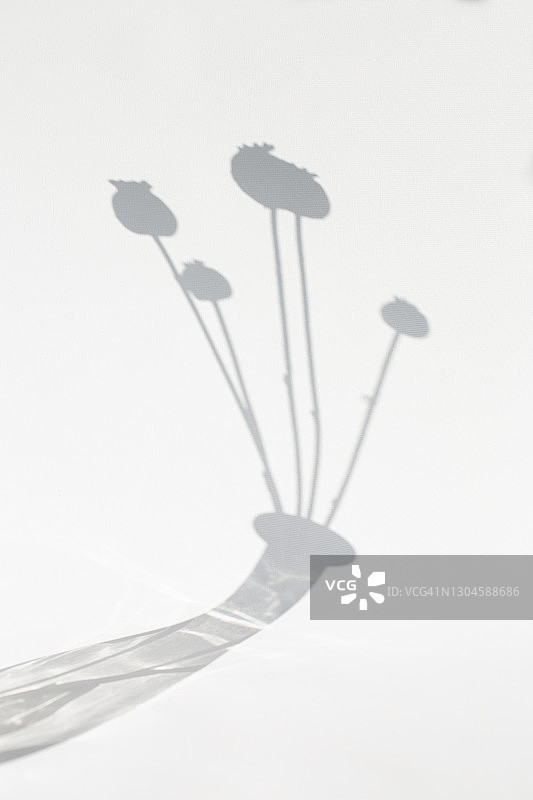 带鲜花的花瓶的影子图片素材