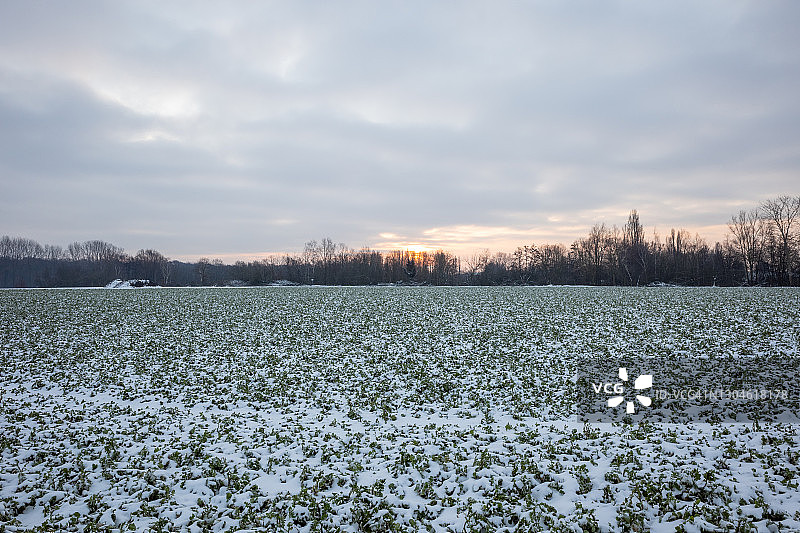 郊区冬季雪覆盖的农业田野日出景观图片素材