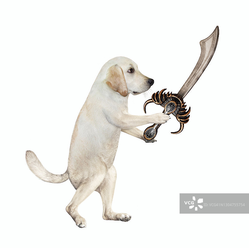 狗狗与海盗弯刀搏斗2图片素材