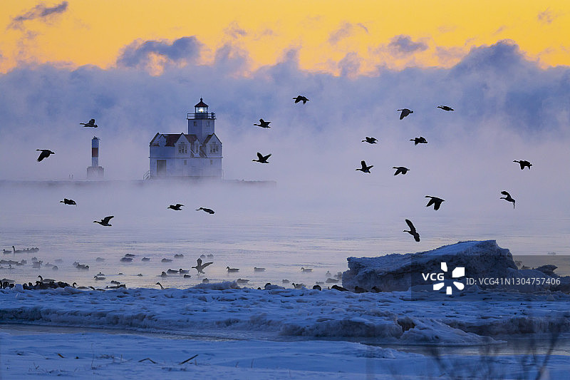 零下十华氏度严寒中飞行的鹅群图片素材
