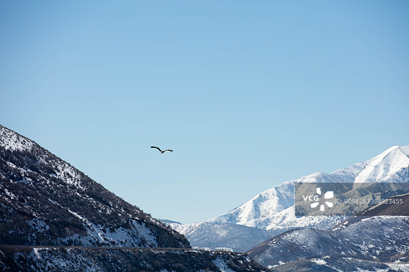 犹他州鹿溪水库上空的蒂姆帕诺戈斯山雪景图片素材