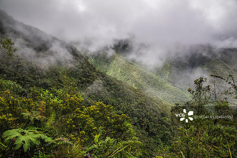 玻利维亚北永加斯死亡公路附近的云雾雨林图片素材