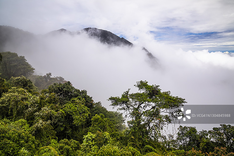 云雾中的死亡之路雨林，玻利维亚北永加斯图片素材