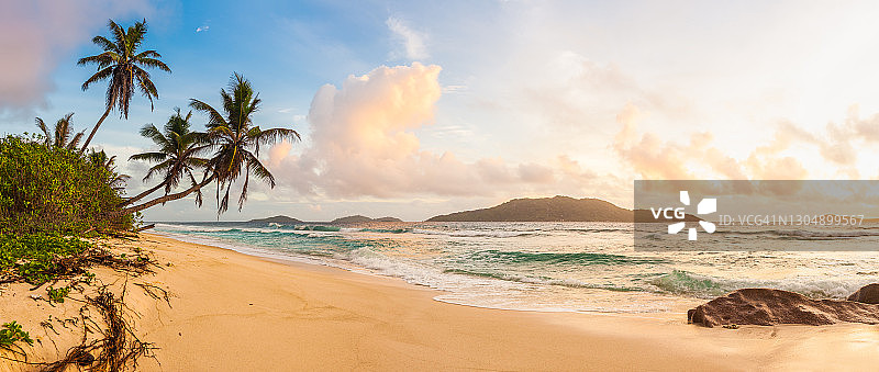 田园诗般的热带棕榈海滩全景图片素材